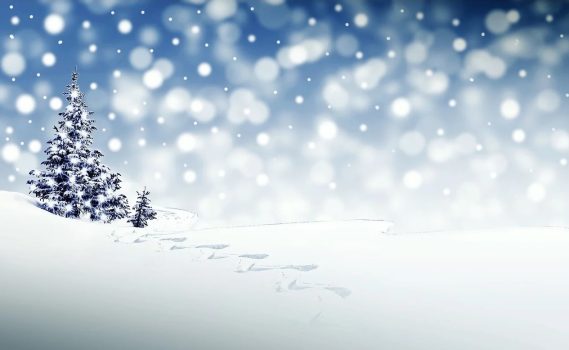 Winter