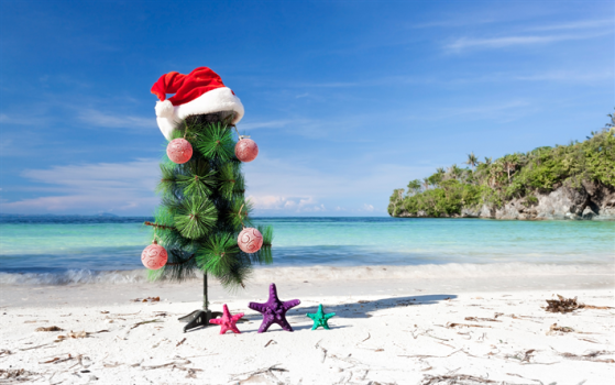 vacanze-di-natale