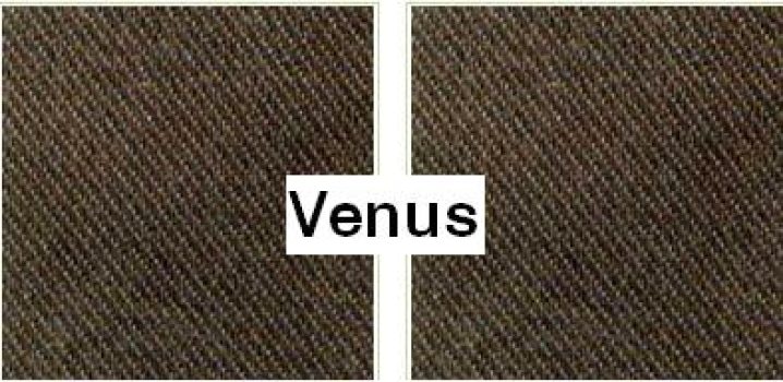 venus
